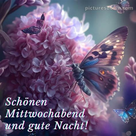 Sch Nen Mittwoch Abend Und Gute Nacht Schmetterlinge Picturesdown