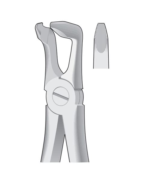 Dental Tooth Extracting Forceps Fig A Lower Rd Molars English