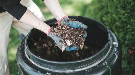 Heres Everything You Need To Know About Compost