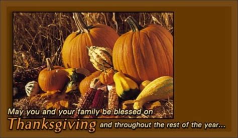 Thanksgiving - Pumpkins eCard - Free Thanksgiving Cards Online