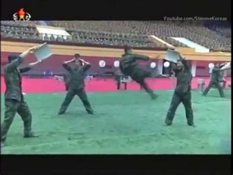 North Korea's army training video looks absolutely savage