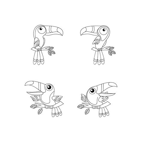 toucan bird drawing line cute black white illustration set collection 36183602 Vector Art at ...