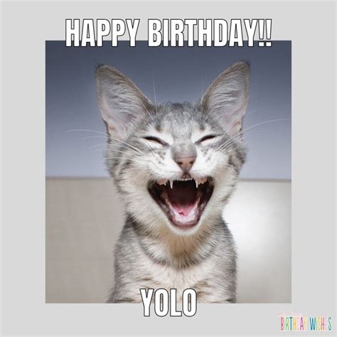 65 Happy Birthday Wishes Involving Cat Meme (with Pictures)