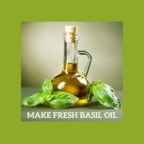 How To Infuse Olive Oil With Basil And Other Herbs Flavored Oils