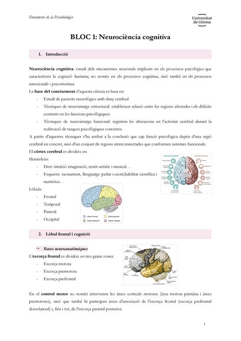 BLOC 1 Psicobiologia BLOC 1 Neurociència cognitiva Introducció