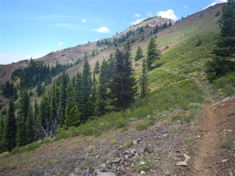 County Line — Washington Trails Association