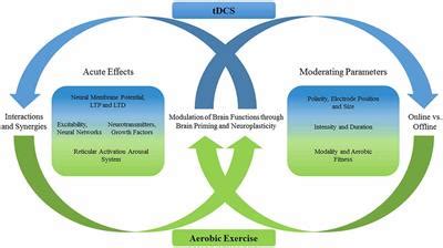 Frontiers A Review Of Acute Aerobic Exercise And Transcranial Direct