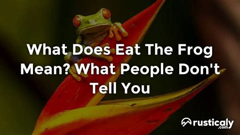 What Does Eat The Frog Mean Here S What People Don T Know