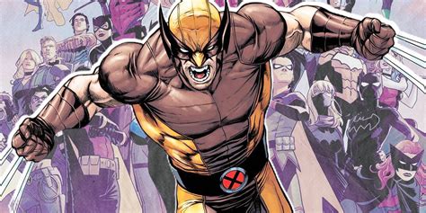 What DC Should Incorporate From Marvel's Best Wolverine Comics