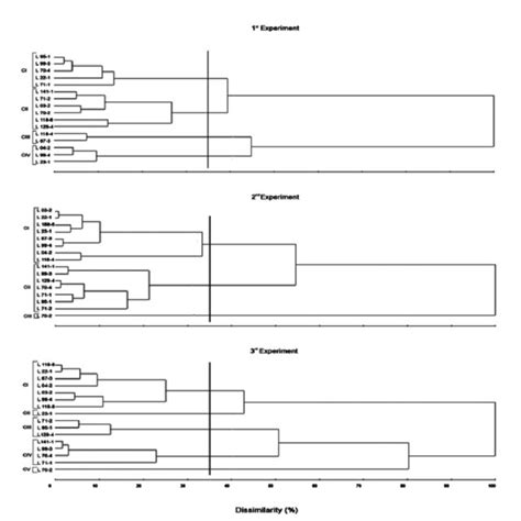 Clustering Of 16 Maize Inbred Lines By The Upgma Method From The