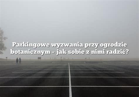 Parkingowe wyzwania przy ogrodzie botanicznym jak sobie z nimi radzić