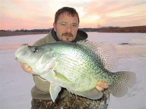 Black Crappie Record