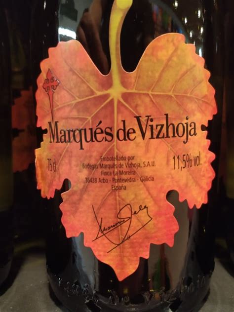 Cata del vino Marqués de Vizhoja 2018 Rías Baixas Sobrelias