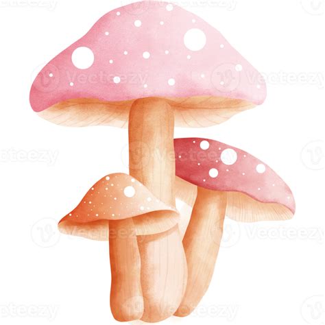 Watercolor Fly Agaric Mushrooms Lorful Fly Agaric Mushrooms