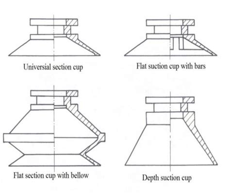 a: Different shape of cup | Download Scientific Diagram