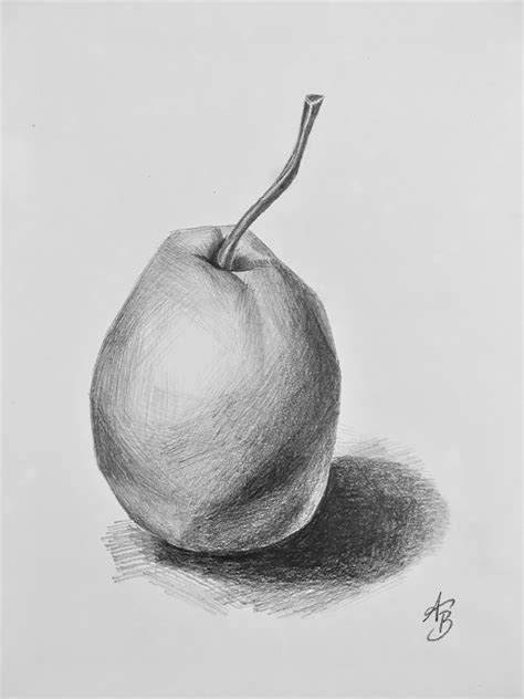 Pear Sketch Drawing | Sketch Drawing Idea