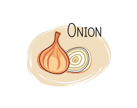 Onion Icon Half And Full Slice Onion Isolated On White Background With