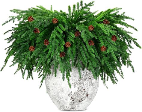 Amazon Ceenna Pcs Inch Christmas Norfolk Pine Branches With