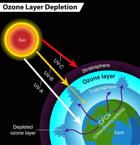 Ozone Layer Definition JavaTpoint