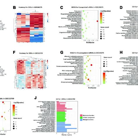 Degs Screening And Functional Enrichment Analysis A Volcano Plot Of Download Scientific