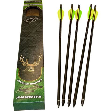 Barnett Head Hunter Carbon Crossbow Bolts 22 in. 5 pk.|Barnett carbon ...