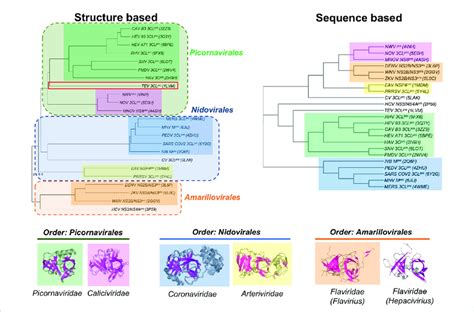 Dendrograms Showing The Structure Based Vs Sequence Based