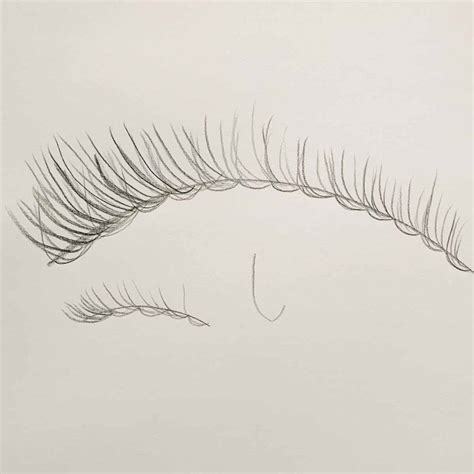 How To Draw Eyelashes 4 Easy Steps Basicdraw