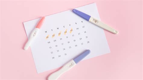 6 Best Ovulation Test Kits To Monitor Peak Fertility Healthshots