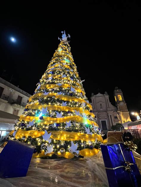 Terrasini In Piazza Acceso Lalbero Di Natale Ispirato Ai Temi Della