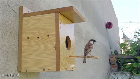 Sparrow Bird House Plans - emsekflol.com