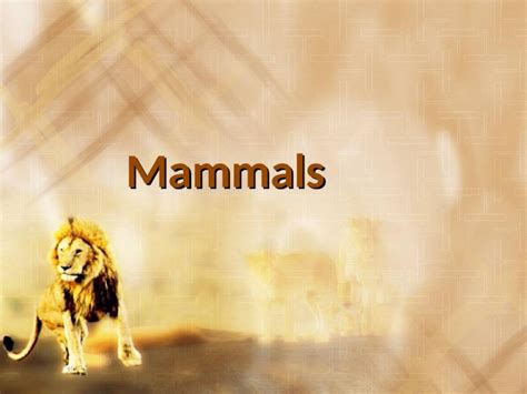 (PPT) Mammals. Characteristics of Mammals Mammals are well adapted for ...