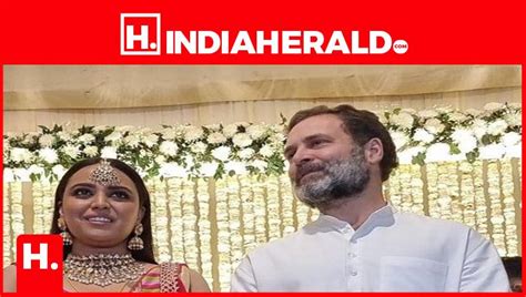 Rahul Gandhi S Marriage Sherlyn Chopra S Viral Response