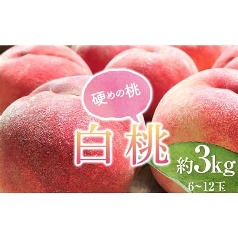 ふるさと納税 山形県 ≪2024年産 先行受付≫ 山形県産 白桃 秀品 約3kg 品種おまかせ 硬めの桃 あまり柔らかくならない桃 Fsy 1195 6022591 ふるさとチョイス