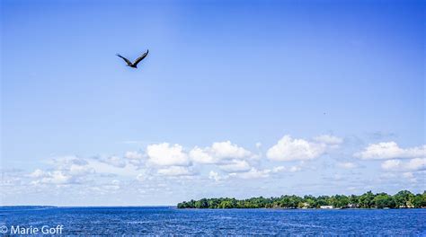 Lake Moultrie Passage with Tom Mullikin and South Carolina 7 2020 ...