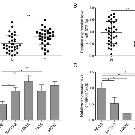 HULC Regulated Osteosarcoma Cells Via The MiR 372 3p HMGB1 Signalling