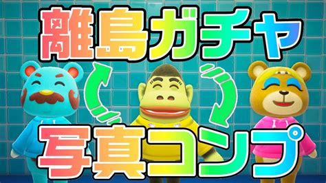 毛根根性 【生放送】あつ森「離島ガチャと写真コンプリート」を行ったり来たりする配信vol6