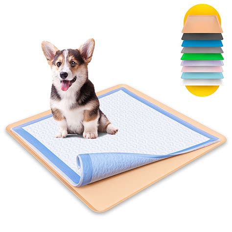 How To Make Your Dog Pee In The Pad at Sandra Moody blog