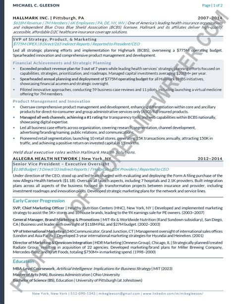 Private Equity Resume Samples Ceo Resume Writer