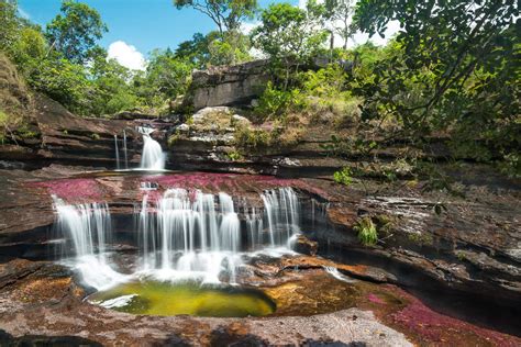 Caño Cristales : Travel guide