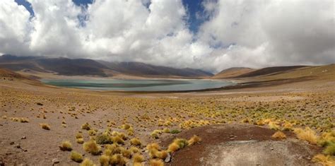 Lagunas Altiplánicas San Pedro de Atacama Chile