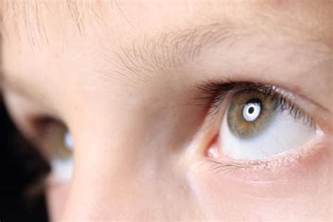 20 Cosas Que Tienes Que Saber Sobre Los Ojos Y La Vista De Tus Hijos