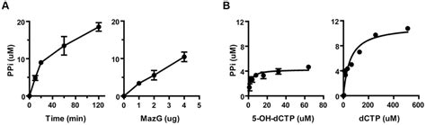 The NTP PPase Activity Of Mycobacterial MazG Against 5 OH DCTP A