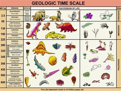 The Geologic Time Scale Geology Modification For Lehman College Cuny