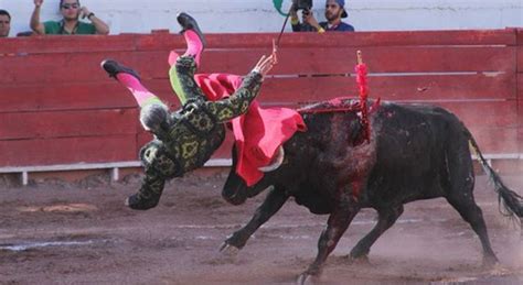 Torero El Pana A Punto De Quedar Cuadrapléjico Tras Ser Embestido En