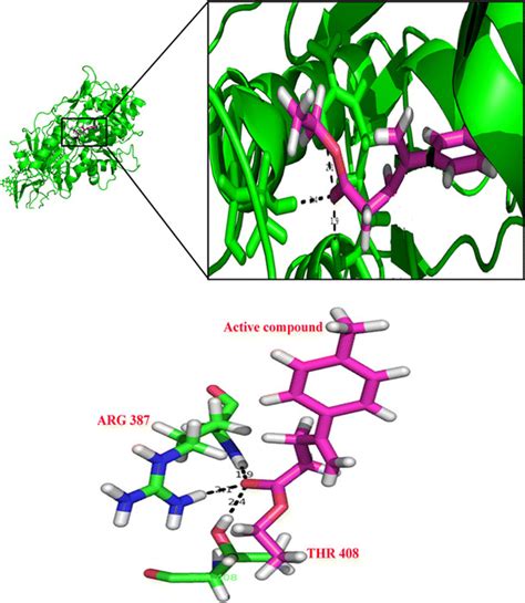 Pictorial Representation Hydrogen Bond Interactions Between The Active