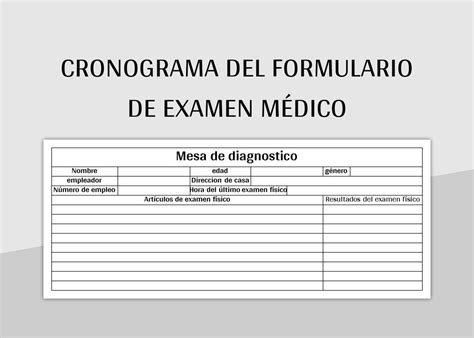 Plantilla De Formato Excel Cronograma Del Formulario De Examen Médico Y