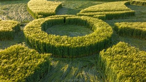 New Data Shows Wiltshire Has Most Crop Circles In England Bbc News