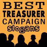 11 Treasurer Campaign ideas | student council posters, campaign posters ...