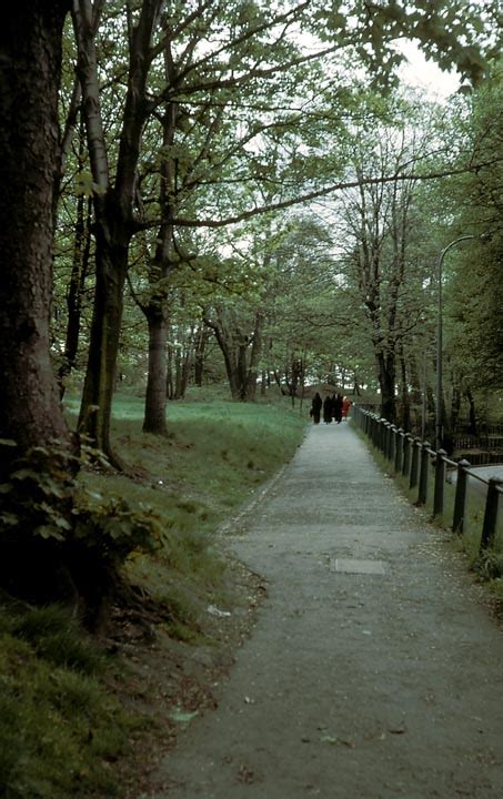 Path Through Hampstead Heath Wildes Farm Hampstead London