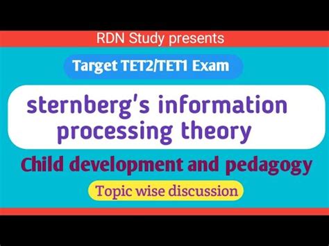 Target Tet Tet Exam Sternberg S Information Processing Theory Cdp